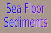 Sea Floor Sediments