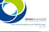 Grid Interoperability with OMII-Europe