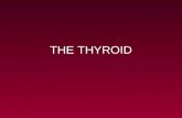THE THYROID