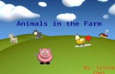 Animals in the Farm