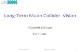 Long-Term  Muon  Collider  Vision Vladimir  Shiltsev Fermilab