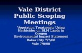 Vale District Public Scoping Meetings