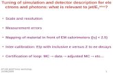 Scale and resolution Measurement errors