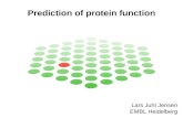 Prediction of protein function