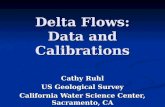 Delta Flows: Data and Calibrations