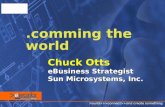 Chuck Otts eBusiness Strategist Sun Microsystems, Inc.