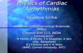Physics of Cardiac Arrhythmias