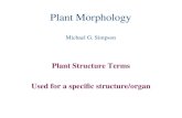 Plant Morphology Michael G. Simpson