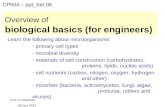 Overview of biological basics (for engineers)