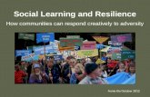 Social Learning and Resilience How communities can respond creatively to adversity