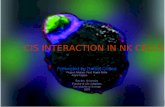 CIS INTERACTION IN NK CELLS