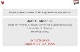 Physical Mechanisms of Biological Molecular Motors
