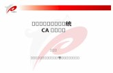 宁波地税网上办事系统  CA 应用介绍 徐登港
