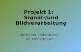 Projekt 1:  Signal-/und Bildverarbeitung Unter der Leitung von  Dr. Frank Bauer