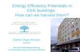 Energy Efficiency Potentials in CEE buildings:  How can we harvest them?