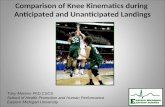 Comparison of Knee Kinematics during  Anticipated and Unanticipated Landings