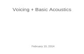 Voicing + Basic Acoustics