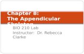Chapter 8: The Appendicular Skeleton