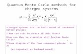 Quantum Monte Carlo methods for charged systems