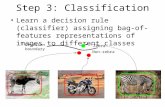 Step 3: Classification