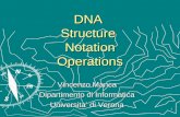 DNA  Structure  Notation Operations