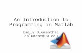 An Introduction to Programming in Matlab