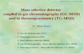 Mass selective detector  coupled to gas chromatography (GC-MSD) and to thermogravimetry (TG-MSD)