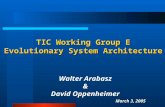 TIC Working Group E Evolutionary System Architecture