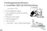 Forebyggelseskonference  1. november 2012 på Christiansborg