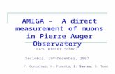 AMIGA â€“  A direct measurement of muons in Pierre Auger Observatory