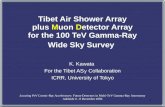 Tibet Air Shower Array plus  M uon  D etector Array for the 100 TeV Gamma-Ray Wide Sky Survey
