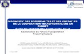 DIAGNOSTIC DES POTENTIALITES ET DES OBSTACLES  DE LA COOPERATION TRANSFRONTALIERE EN EUROPE