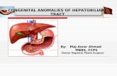 CONGENITAL ANOMALIES OF HEPATOBILIARY TRACT