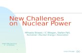 New Challenges  on  Nuclear Power