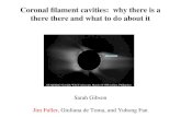 Coronal filament cavities:  why there is a there there and what to do about it