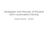 Strategies and Results of Routine Semi-automated Cloning