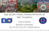 top quark mass measurements at the Tevatron