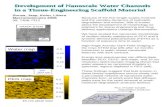 Development of Nanoscale Water Channels in a Tissue-Engineering Scaffold Material