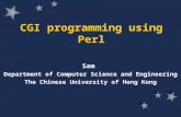 CGI programming using Perl