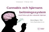 Cannabis och hjärnansbelöningssystem -med fokus på den växande hjärnan