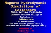 Magneto-hydrodynamic Simulations of Collapsars