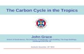The Carbon Cycle in the Tropics