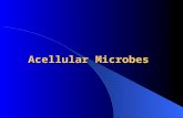 Acellular Microbes