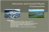 Estuarine and Coastal Marsh Communities