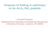 Analysis of folding in pathways in Ac-ALA 5 -NH 2  peptide