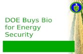 DOE Buys Bio for Energy Security