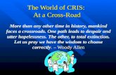 The World of CRIS:  At a Cross-Road