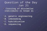 Question of the Day    Jan 21