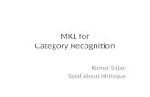 MKL for Category Recognition