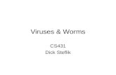 Viruses & Worms